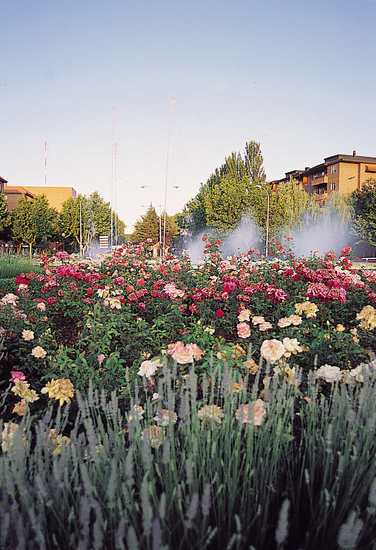 Jardín y fuente en San Sebastián de los Reyes