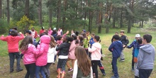 CERCEDILLA 4º PRIMARIA