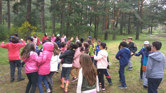 CERCEDILLA 4º PRIMARIA