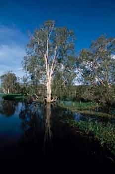 Parque Nacional Kakadu, Australia