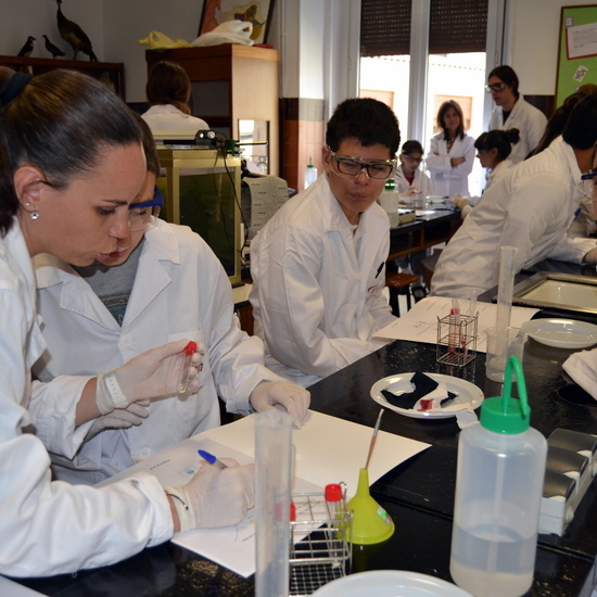 Proyecto de Aprendizaje y Servicio  5