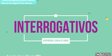 INTERROGATIVOS LSE