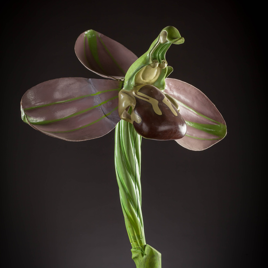 IES_CARDENALCISNEROS_BOTANICA_III_MODELOS_057