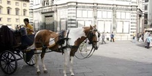 Carro en la Plaza del Duomo, Florencia