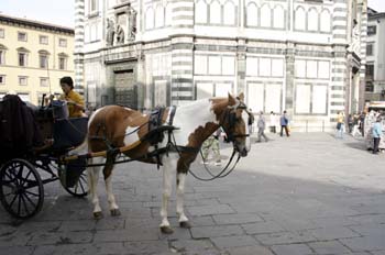 Carro en la Plaza del Duomo, Florencia