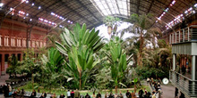 Jardín tropical de la estación de Atocha, Madrid