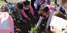 Salida Bosque Sur.3º de Primaria. Octubre 2019 22
