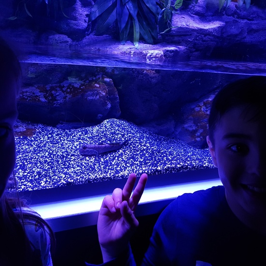 Fotos Aquarium Xanadú 3ºB 30