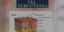 Vía subcutanea