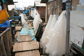 Callejón, Jakarta, Indonesia