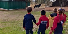 1ºA_Granja