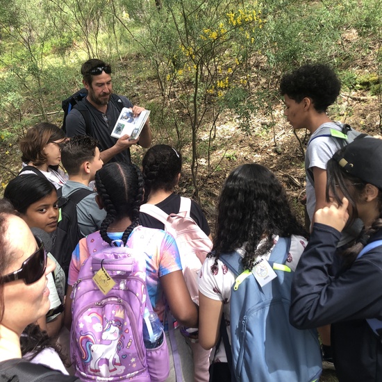 Tejón y excrementos 