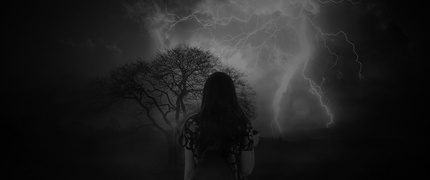 Sección... Misterio