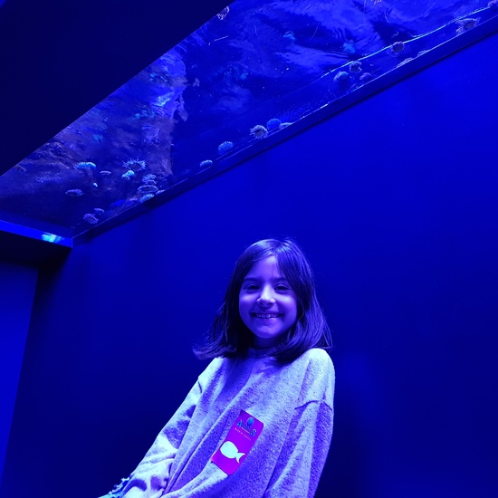Aquarium Xanadú II 3ºB  6