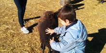 2016_inf 4 años a visita la granja 23