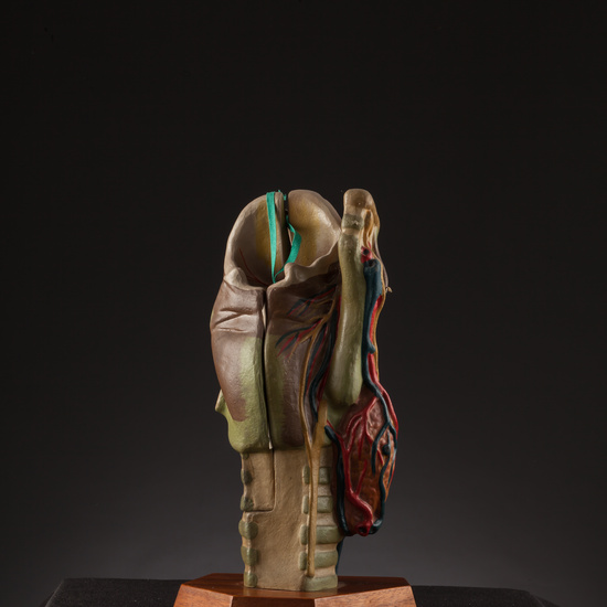 IES_SANISIDRO_BIOLOGIA_178