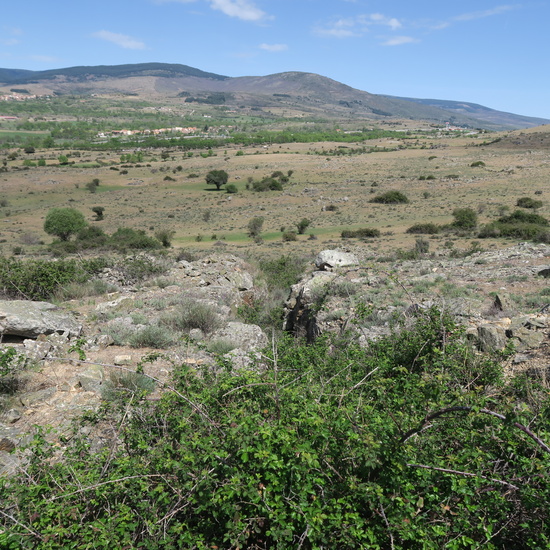 Fortificaciones de la Guerra Civil en Piñuecar-Gandullas (Frente Nacional) 11