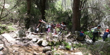 NIÑAS/OS DE 5º. NATURALEZA VIVA EN LA PEDRIZA. HOSTOS POR EL PLANETA 12