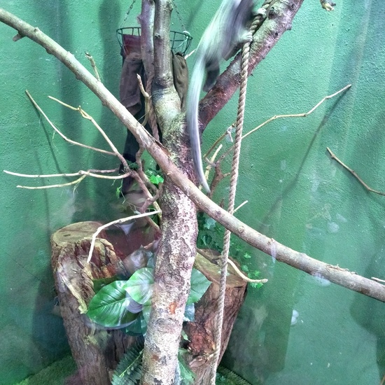 Granja de los Cuentos Infantiles I 26