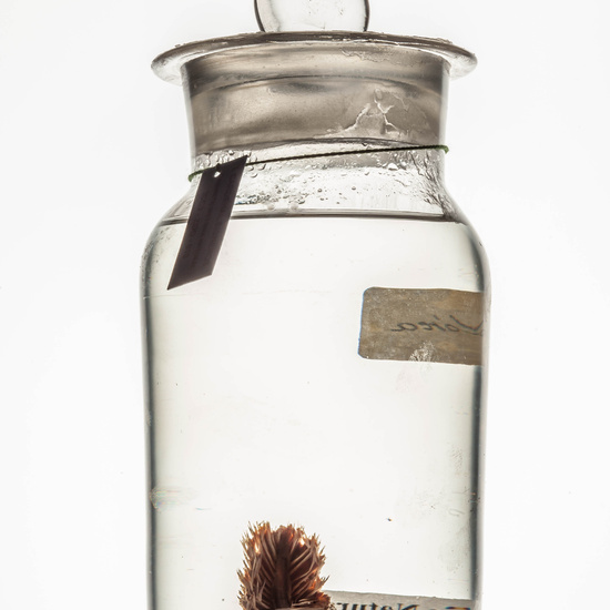 IES_CARDENALCISNEROS_CIENCIASNATURALES_075