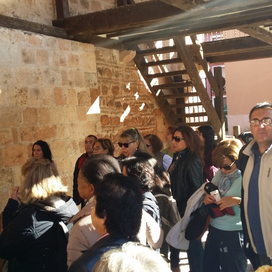 Fotos Excursión Ayllón 4