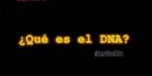 Capítulo 2º: El DNA