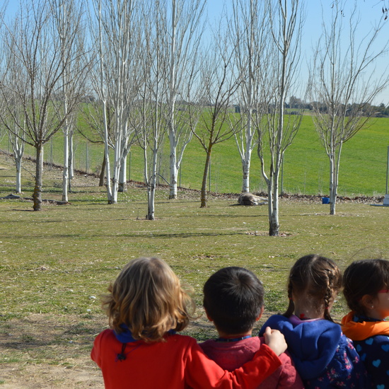 GRANJA ESCUELA ALBITANA 44