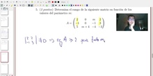 Matrices y Determinantes - Examen A Ejercicio 5