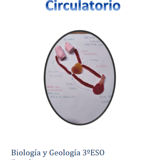 Informe Sistema Circulatorio