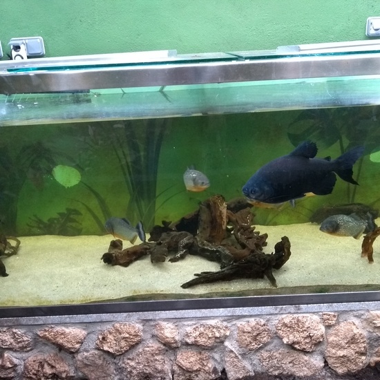 Granja de los Cuentos Infantiles I 22