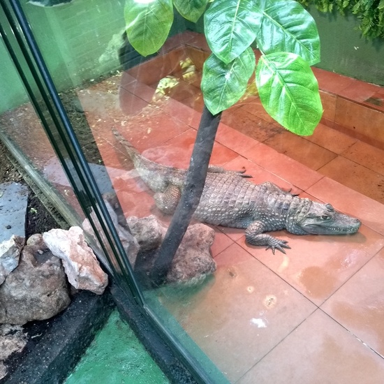 Granja de los Cuentos Infantiles I 24