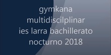 GYMKANA MULTIDISCIPLINAR IES LARRA BAC NOCTURNO