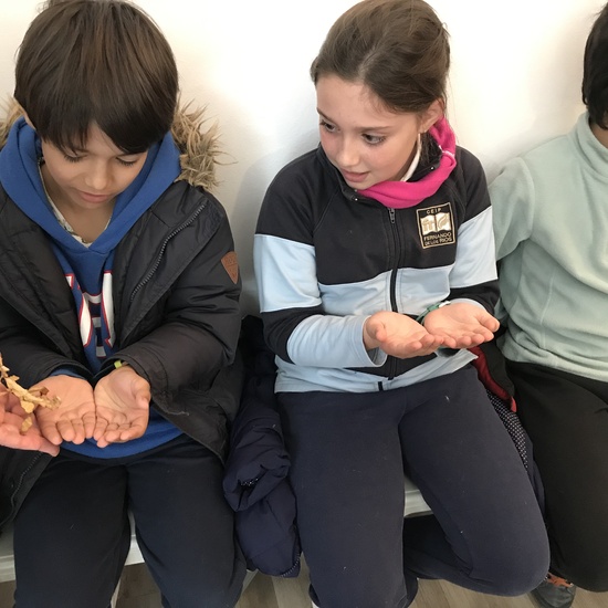 2020_02_27_3º visita Insectpark (3)_CEIP FDLR_Las Rozas 48