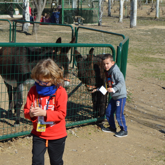 GRANJA ESCUELA ALBITANA 2018 35