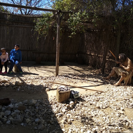 Arqueopinto 4º 19 17