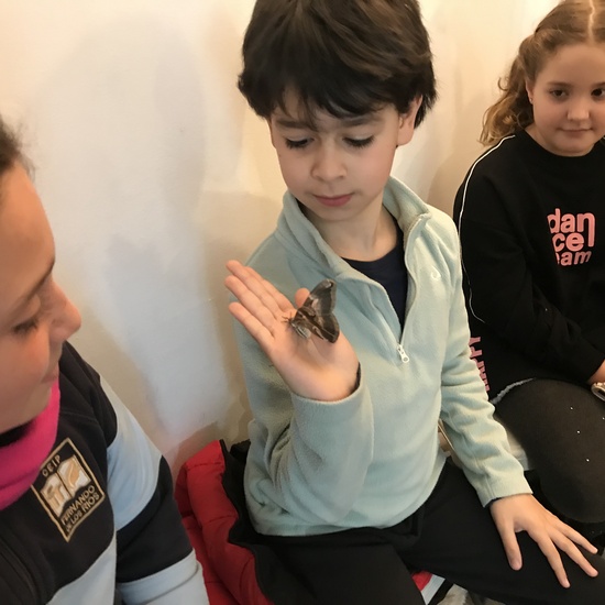 2020_02_27_3º visita Insectpark (4)_CEIP FDLR_Las Rozas 29