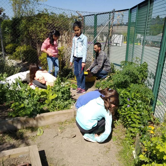 2019_04_Quinto en el huerto_CEIP FDLR_Las Rozas 13