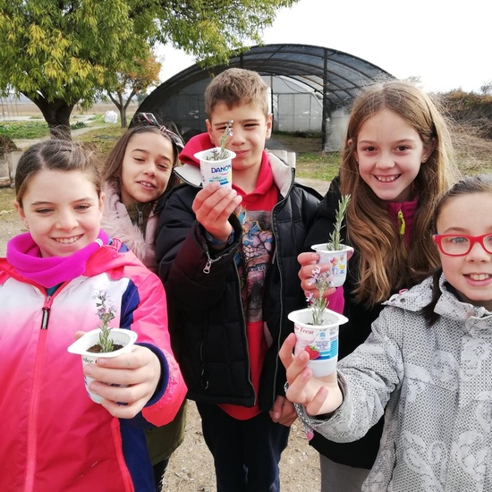 Albergue 5º- 2º día 35