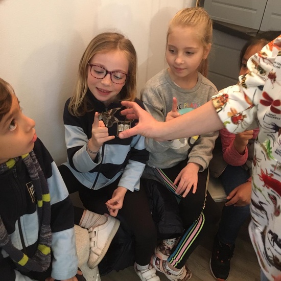 2020_02_27_3º visita Insectpark (2)_CEIP FDLR_Las Rozas 30