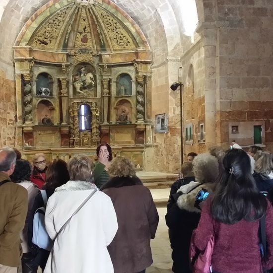 Fotos Excursión Ayllón 3