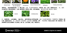 HUERTO OTOÑO