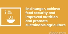 Zero Hunger