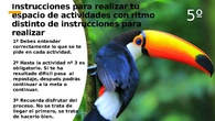 INSTRUCCIONES T-5