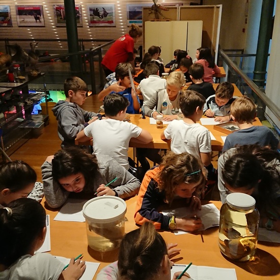 Excursión al museo de ciencias 21