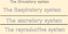 The human body, 3rd and 4th grade Primary