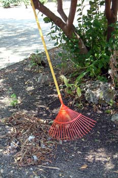 Escoba jardinera