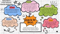 IDEAS PREVIAS