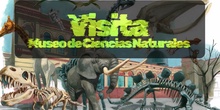 Visita al Museo de Ciencias Naturales