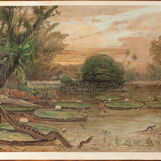 IES_CARDENALCISNEROS_ESPACIOSNATURALES_LAMINAS_001