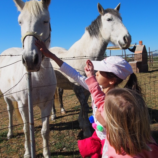 SALIDA NATURALEZA 25